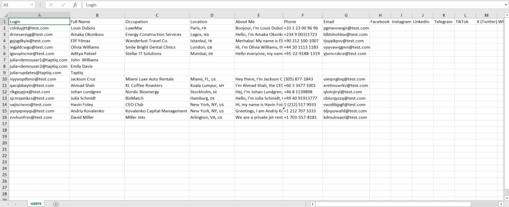 Screenshot of Excel spreadsheet with user data